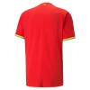 Ghana Voetbalshirts Uit WK 2022